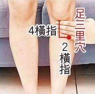足三里穴
