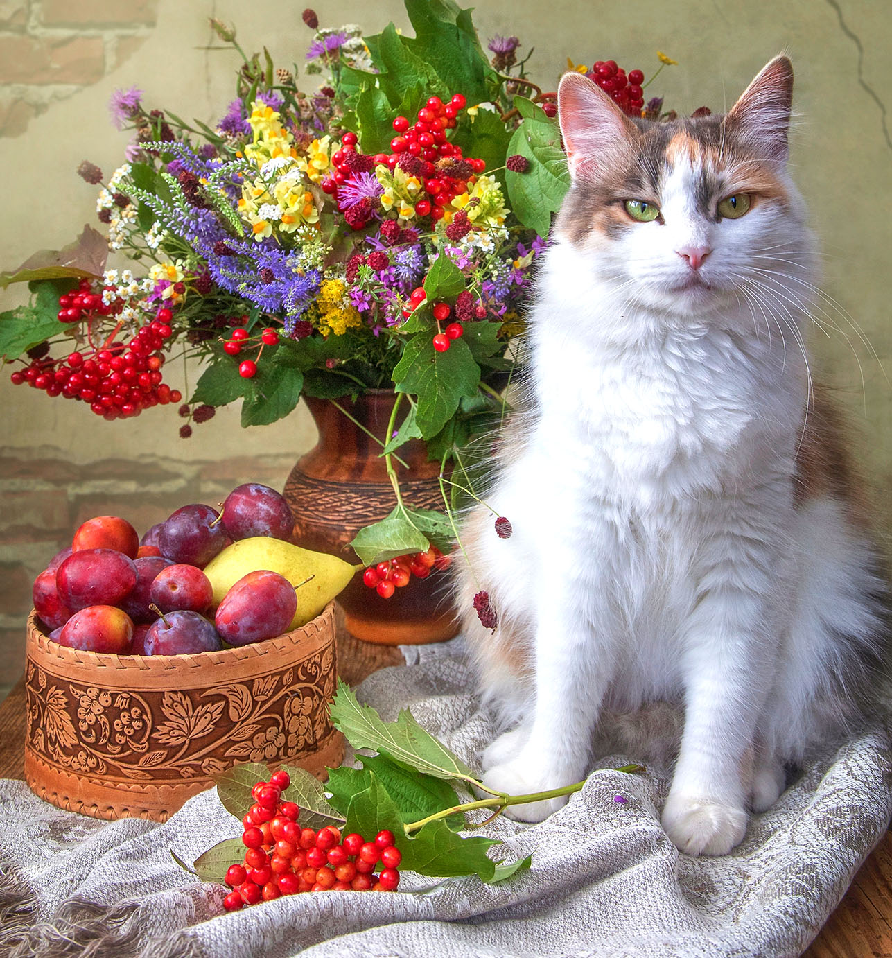 fruit-and-cat